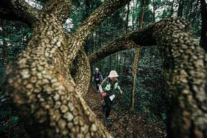 BIB: 
                            <button type="button" onclick="openModal(25393271)" class="btn btn-primary btn-sm float-right btn-popup" data-toggle="modal" data-target=".modal-high-quality">
                        <i class="fas fa-shopping-cart"></i> Add to Cart
                    </button>
                                            <button type="button" onclick="isThisMe(25393271, true)" class="btn btn-success btn-sm float-right btn-popup btn-isme hidden" data-toggle="tooltip" data-placement="bottom" title="นี่คือรูปของคุณใช่ไหม คลิกที่นี่เพื่อเอาเข้าอัลบั้ม">
                        <i class="fas fa-plus"></i> Add to album
                    </button>
                    <button type="button" onclick="isThisMe(25393271, false)" class="btn btn-warning btn-sm float-right btn-popup btn-isnotme hidden">
                        <i class="fas fa-ban"></i> Remove from album
                    </button>